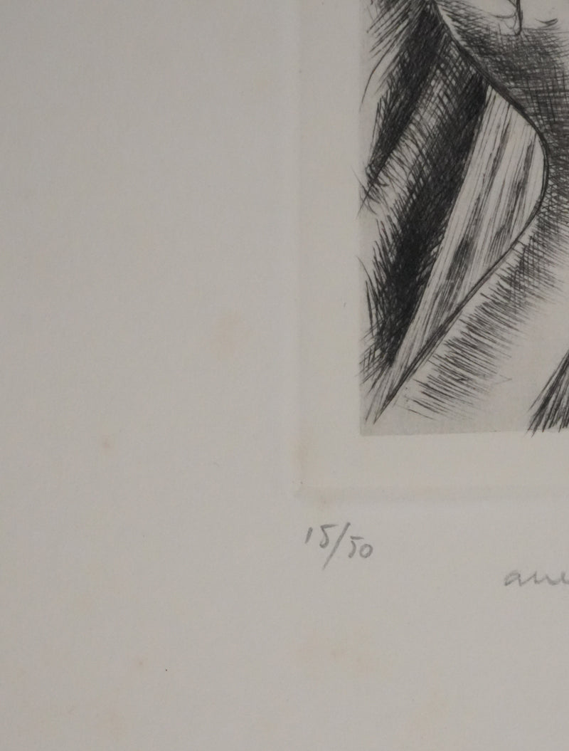 Maxime JUAN : La naissance de l&