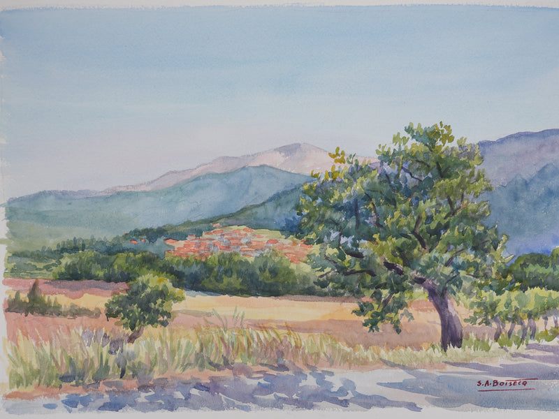 Salomon Alfred BOISECQ : Vue depuis la route d&