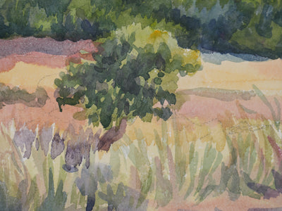 Salomon Alfred BOISECQ : Vue depuis la route d'Aups, Aquarelle originale signée