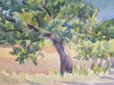 Salomon Alfred BOISECQ : Vue depuis la route d'Aups, Aquarelle originale signée