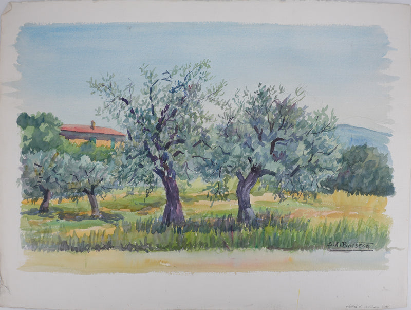 Salomon Alfred BOISECQ : Oliviers à Callian, Aquarelle originale signée