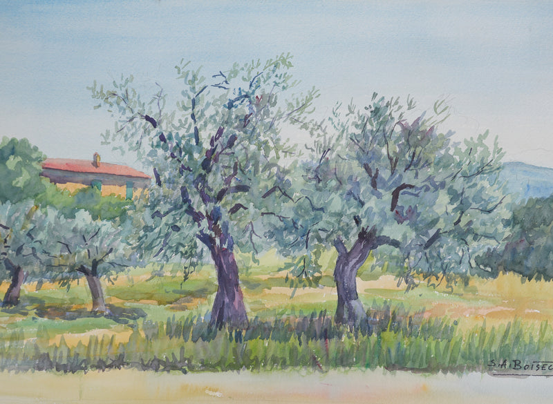 Salomon Alfred BOISECQ : Oliviers à Callian, Aquarelle originale signée