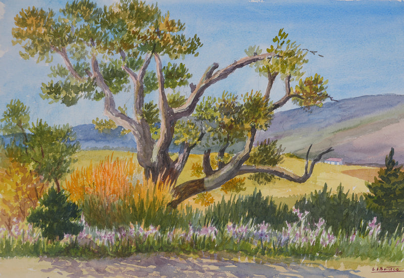 Salomon Alfred BOISECQ : Les fleurs sauvages, Aquarelle originale signée