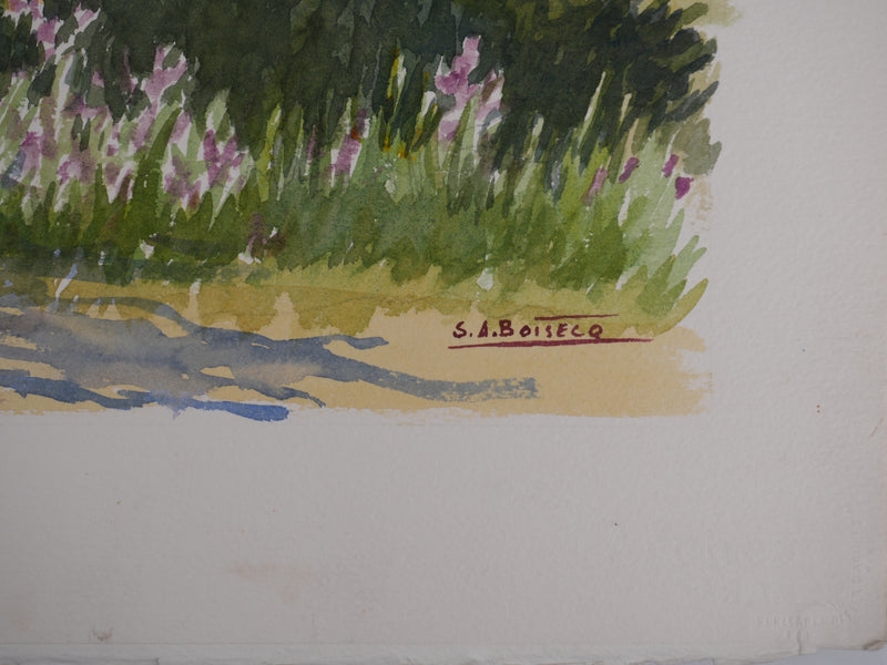 Salomon Alfred BOISECQ : Les fleurs sauvages, Aquarelle originale signée