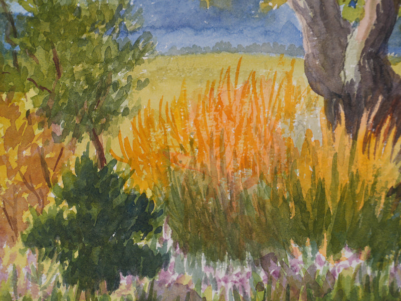 Salomon Alfred BOISECQ : Les fleurs sauvages, Aquarelle originale signée