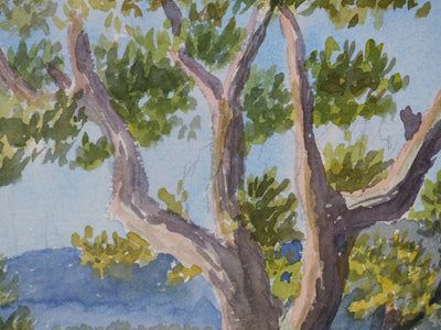 Salomon Alfred BOISECQ : Les fleurs sauvages, Aquarelle originale signée