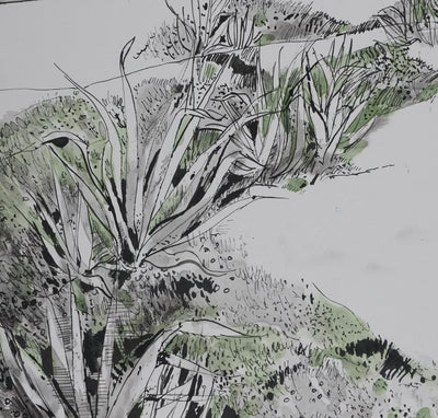 Maurice GENIS : Les cactus au bord de mer, Dessin original signé