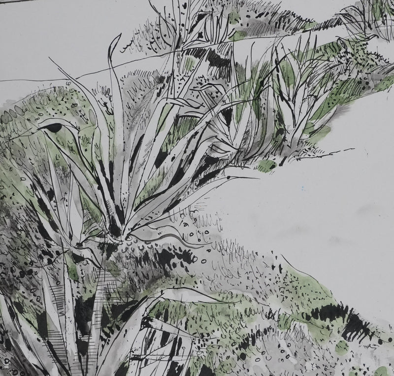 Maurice GENIS : Les cactus au bord de mer, Dessin original signé
