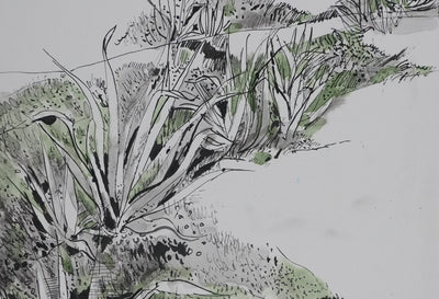 Maurice GENIS : Les cactus au bord de mer, Dessin original signé