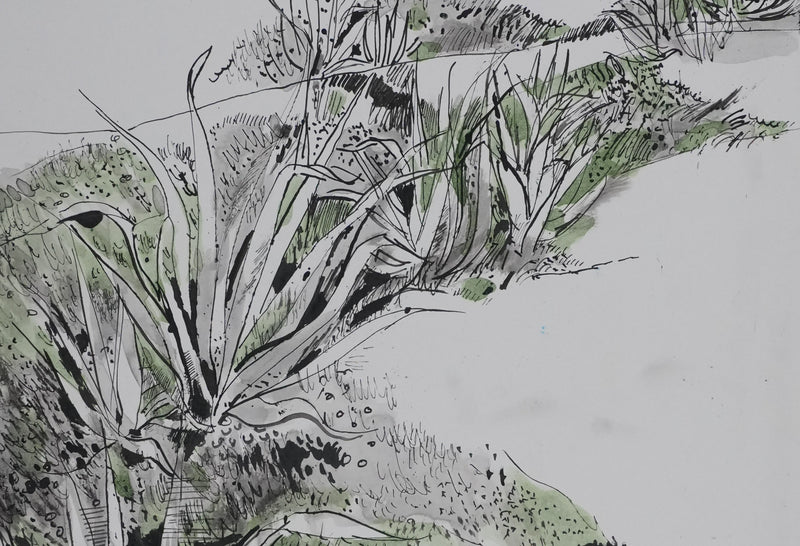 Maurice GENIS : Les cactus au bord de mer, Dessin original signé
