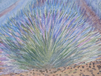 Salomon Alfred BOISECQ : Champs de lavande à Valensole, Aquarelle originale signée