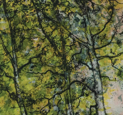 Bernard GANTNER : La forêt au printemps, Lithographie originale signée
