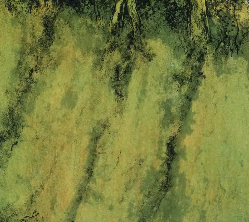 Bernard GANTNER : La forêt au printemps, Lithographie originale signée