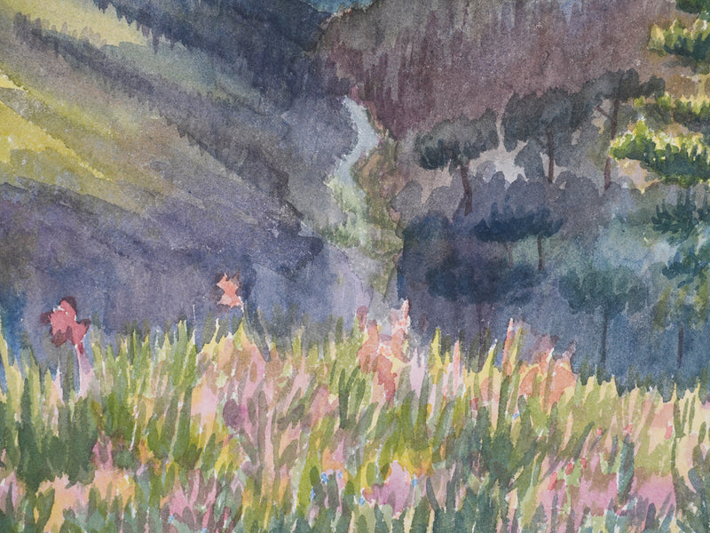 Salomon Alfred BOISECQ : Vue sur Nice, Aquarelle originale signée