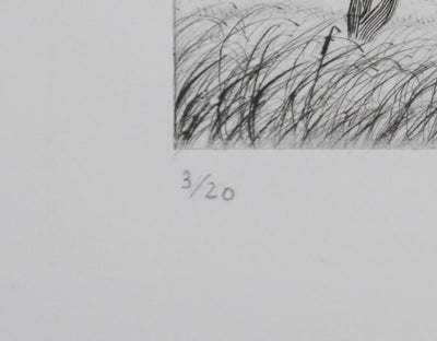 Camille COMBE : Crinières au vent, Gravure originale signée