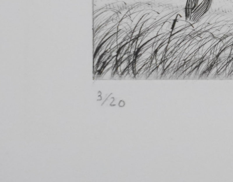 Camille COMBE : Crinières au vent, Gravure originale signée