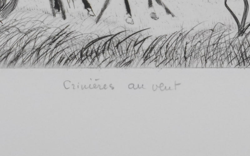 Camille COMBE : Crinières au vent, Gravure originale signée
