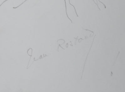 Jean ROSTAND : Arbre enraciné, Autographe et dessin original signé