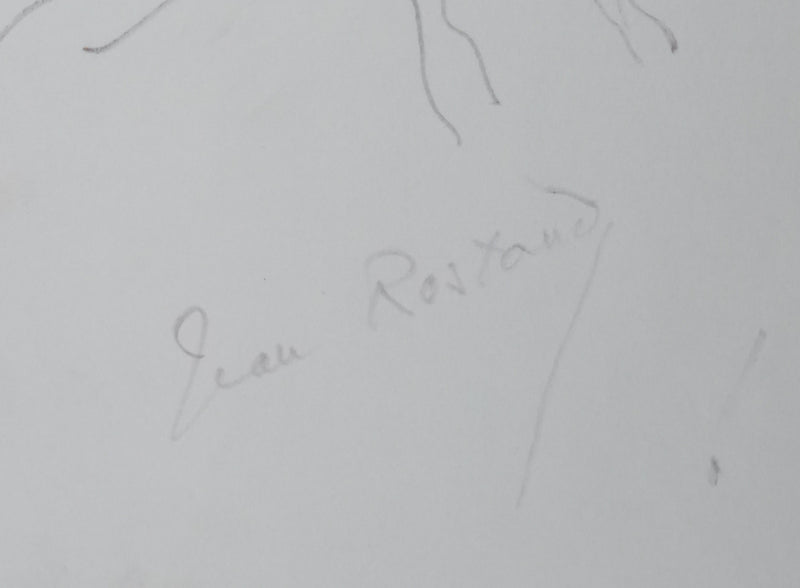 Jean ROSTAND : Arbre enraciné, Autographe et dessin original signé