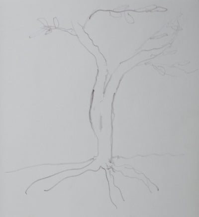 Jean ROSTAND : Arbre enraciné, Autographe et dessin original signé