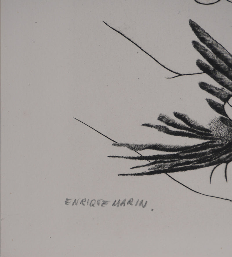 Enrique MARIN MUNOZ : L&