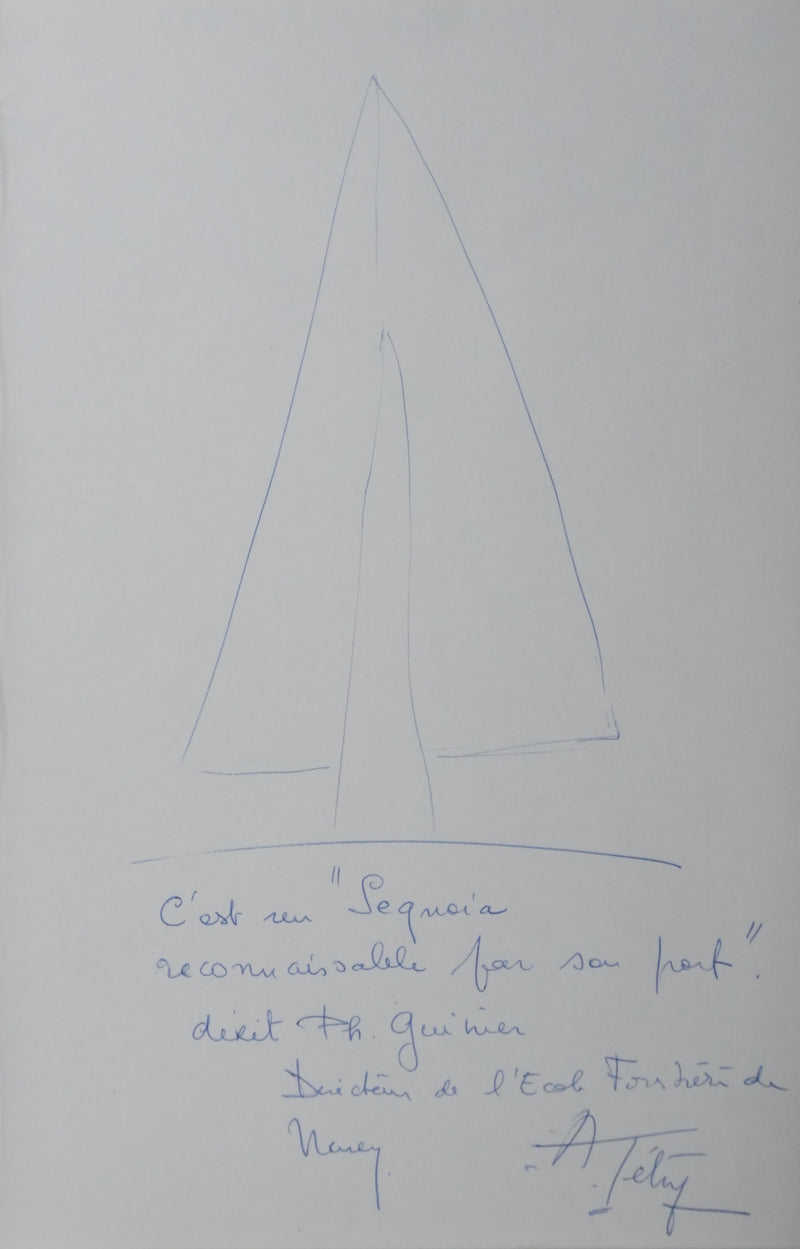 Autographe original de Andrée TETRY (vue générale) - Crédit photo : Galerie Art.Paris