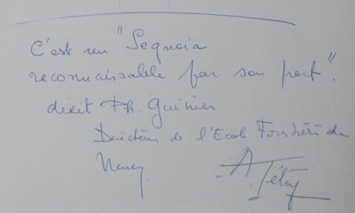 Autographe original de Andrée TETRY (photo de détail 2) - Crédit photo : Galerie Art.Paris
