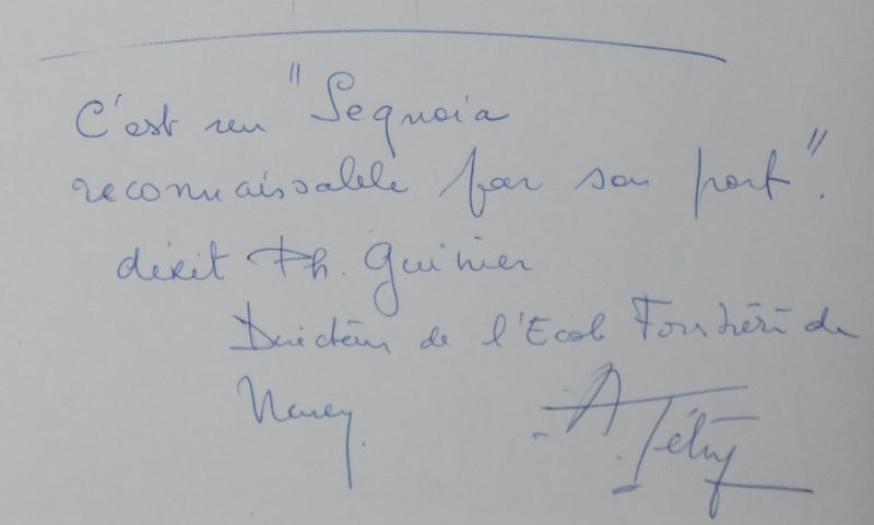 Autographe original de Andrée TETRY (photo de détail 2) - Crédit photo : Galerie Art.Paris