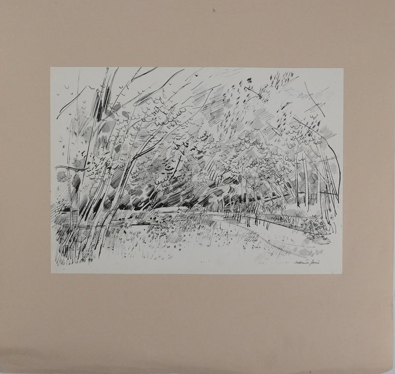 Maurice GENIS : Petit sous-bois, Dessin original signé