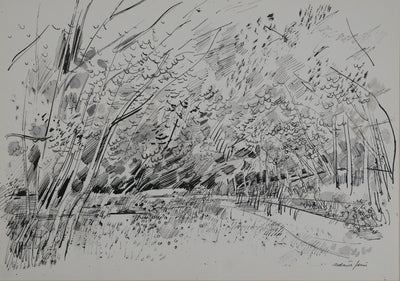Maurice GENIS : Petit sous-bois, Dessin original signé