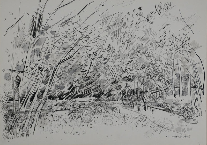 Maurice GENIS : Petit sous-bois, Dessin original signé