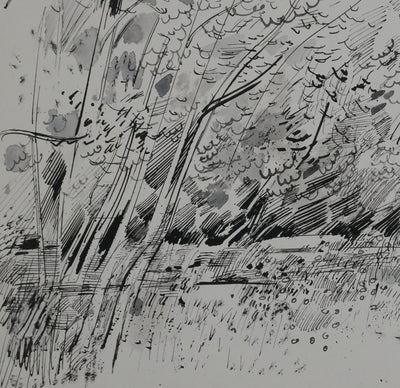 Maurice GENIS : Petit sous-bois, Dessin original signé