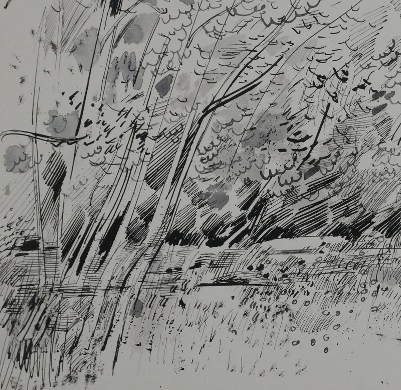 Maurice GENIS : Petit sous-bois, Dessin original signé