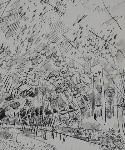 Maurice GENIS : Petit sous-bois, Dessin original signé