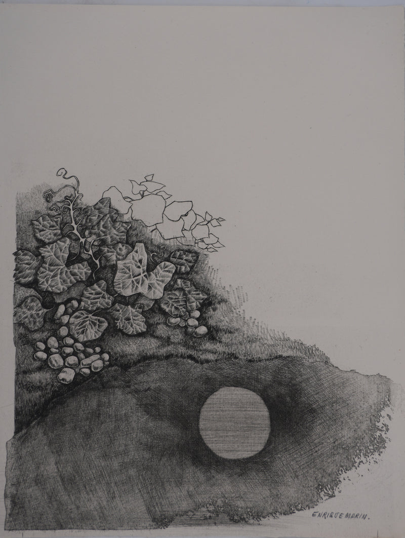 Enrique MARIN MUNOZ : Végétation au bord du lac, Gravure originale signée