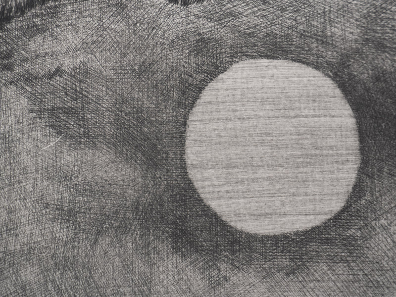 Enrique MARIN MUNOZ : Végétation au bord du lac, Gravure originale signée
