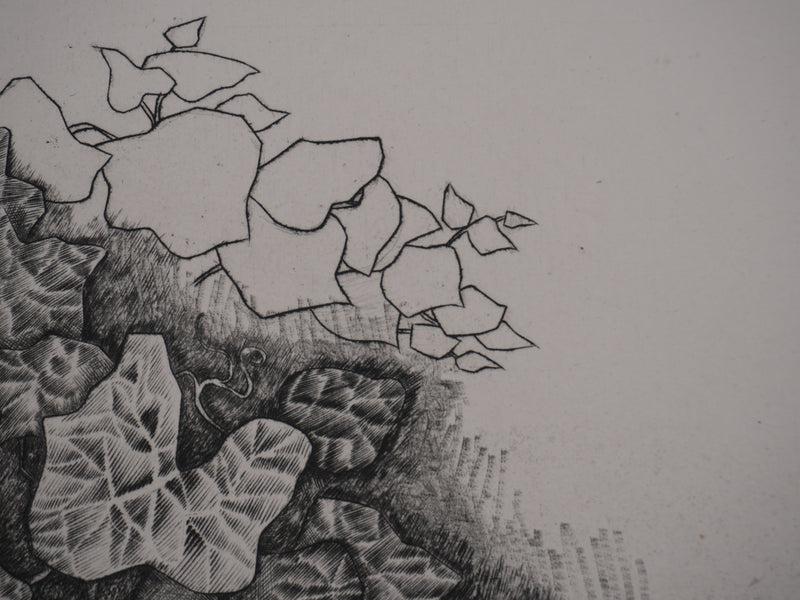 Enrique MARIN MUNOZ : Végétation au bord du lac, Gravure originale signée