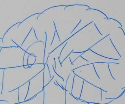 Autographe original de Carlo COCCIOLI (photo de détail 5) - Crédit photo : Galerie Art.Paris