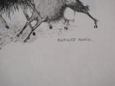 Enrique MARIN MUNOZ : L'attaque de la chèvre, Gravure originale signée