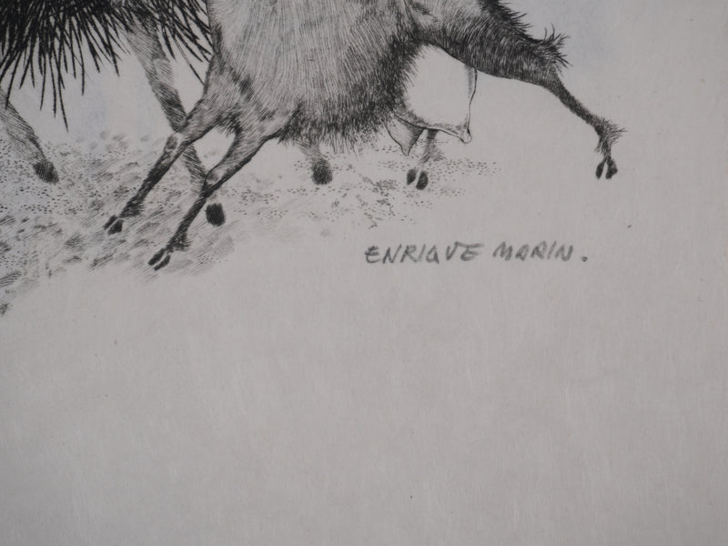 Enrique MARIN MUNOZ : L&