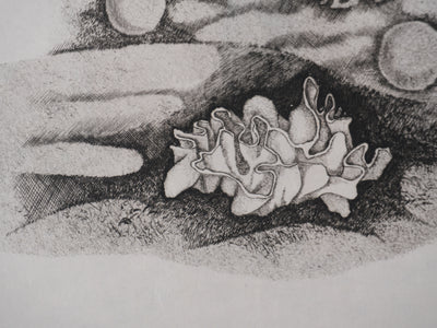 Enrique MARIN MUNOZ : Rêve d'enfant, Gravure originale signée