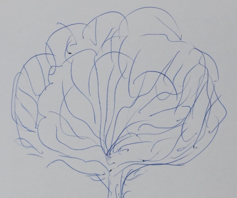 JACQUEMIN : Arbre bleu, Autographe et dessin original signé