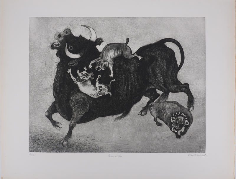 Enrique MARIN MUNOZ : Le taureau et les chiens, gravure originale signée