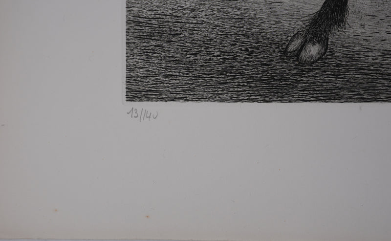 Enrique MARIN MUNOZ : Le taureau et les chiens, gravure originale signée