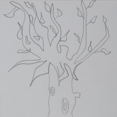 Jean MAZE : L'arbre aux écorces, Autographe et dessin original signé
