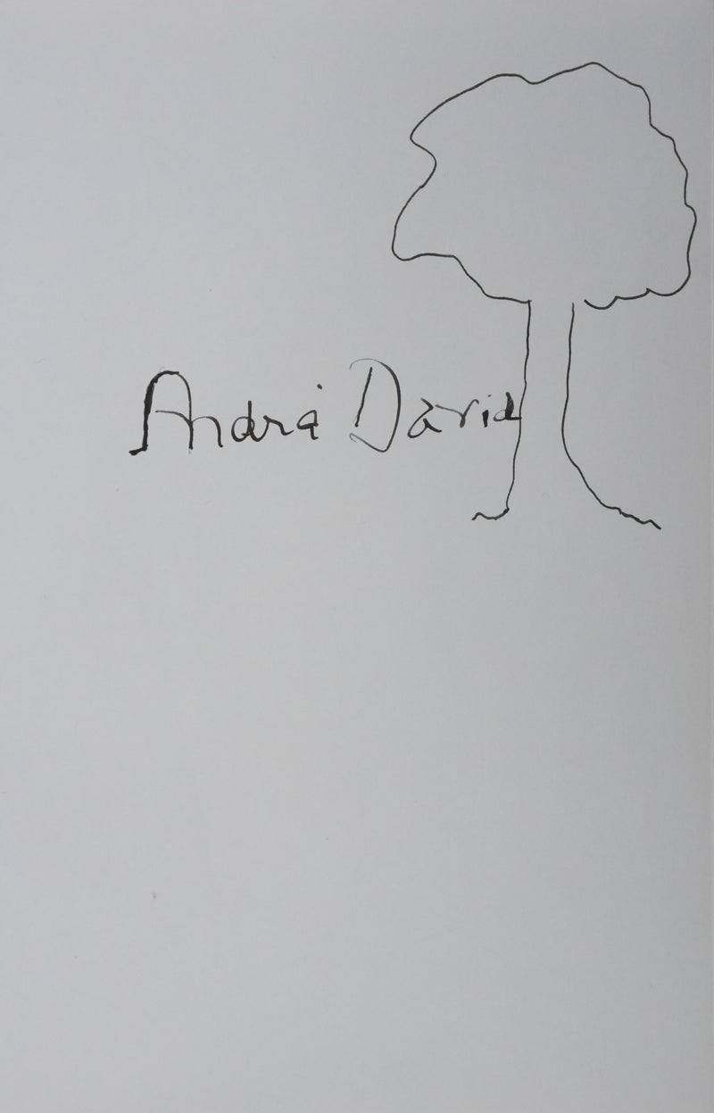 André DAVID : Silhouette d&