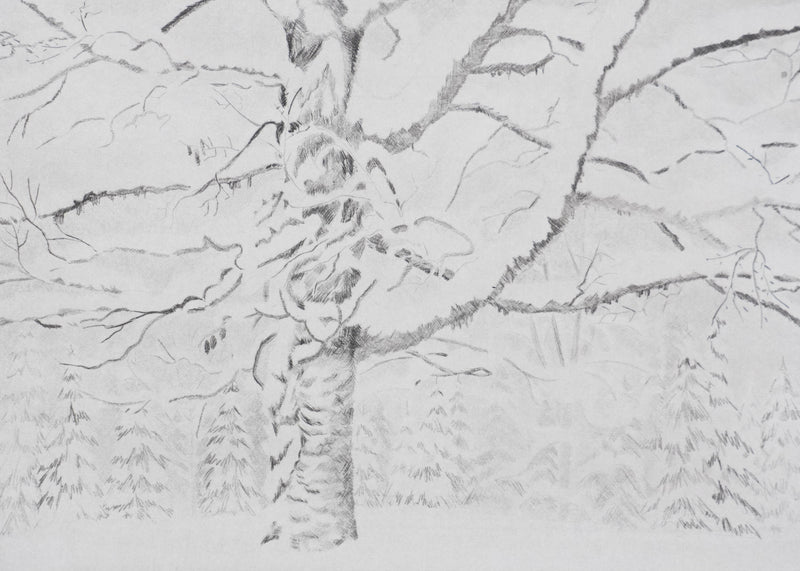Camille COMBE : Arbre, mon frère …, Gravure originale signée