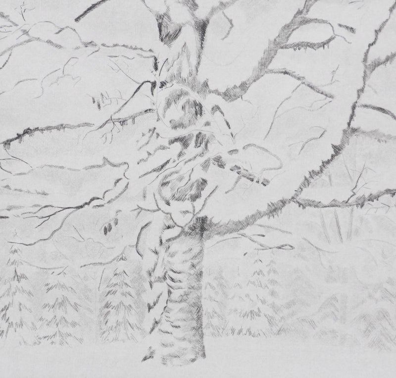 Camille COMBE : Arbre, mon frère …, Gravure originale signée
