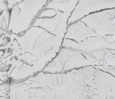 Camille COMBE : Arbre, mon frère …, Gravure originale signée