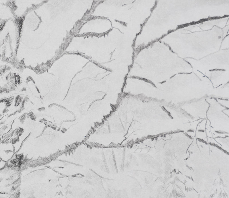 Camille COMBE : Arbre, mon frère …, Gravure originale signée